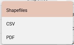 export options.JPG